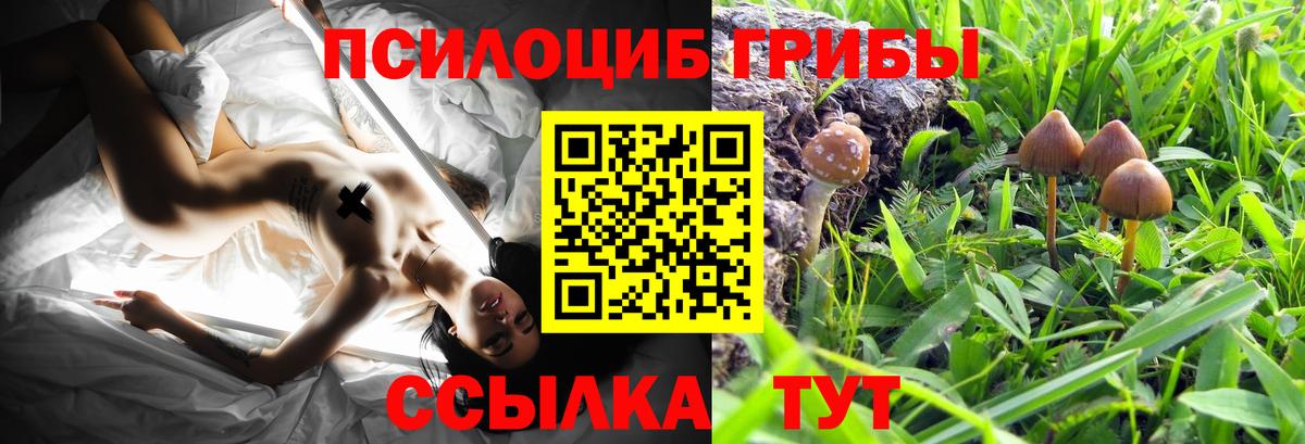 Псилоцибиновые грибы Cubensis  Вход с VPN  Касимов  Псилоцибиновые грибы Magic Shrooms 