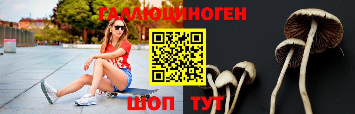 Псилоцибиновые грибы Psilocybe Касимов
